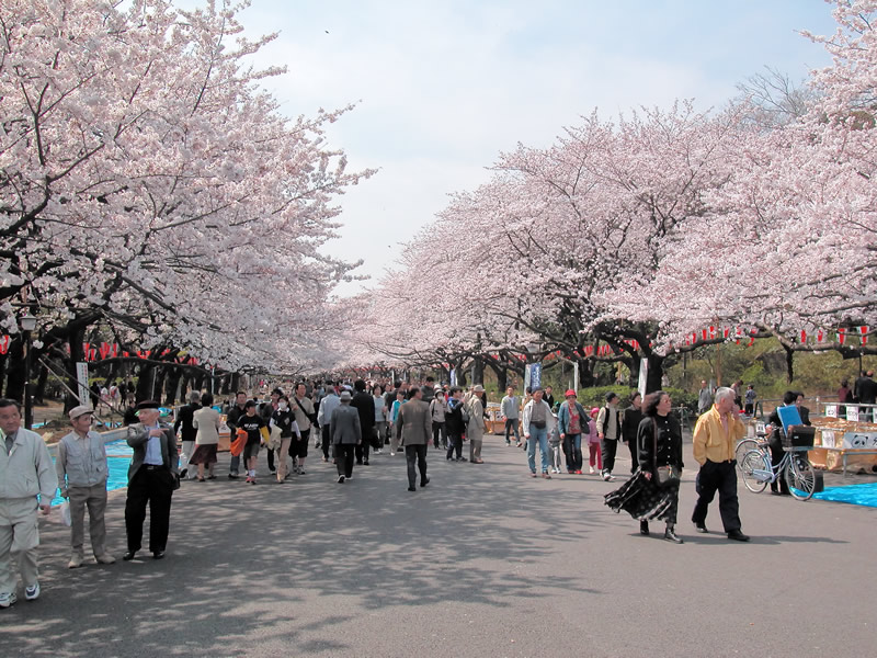 上野恩賜公園