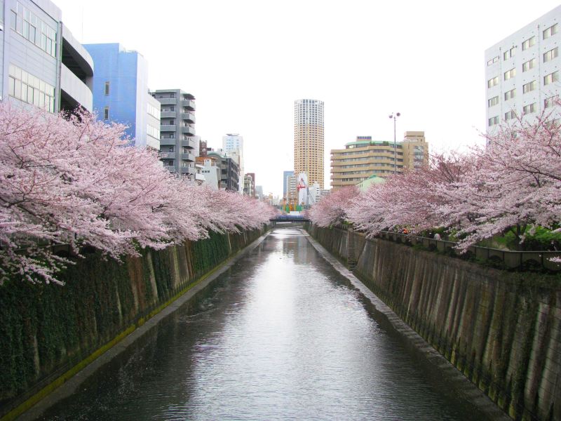 目黑川