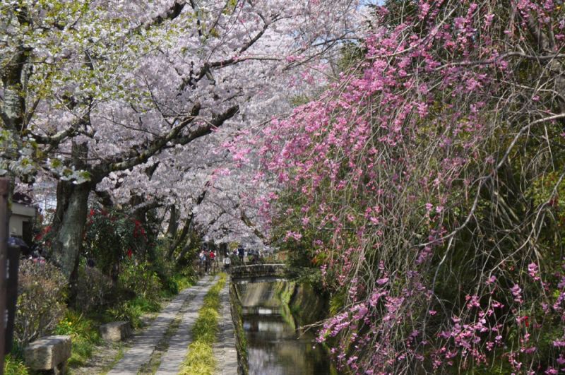 哲學之道
