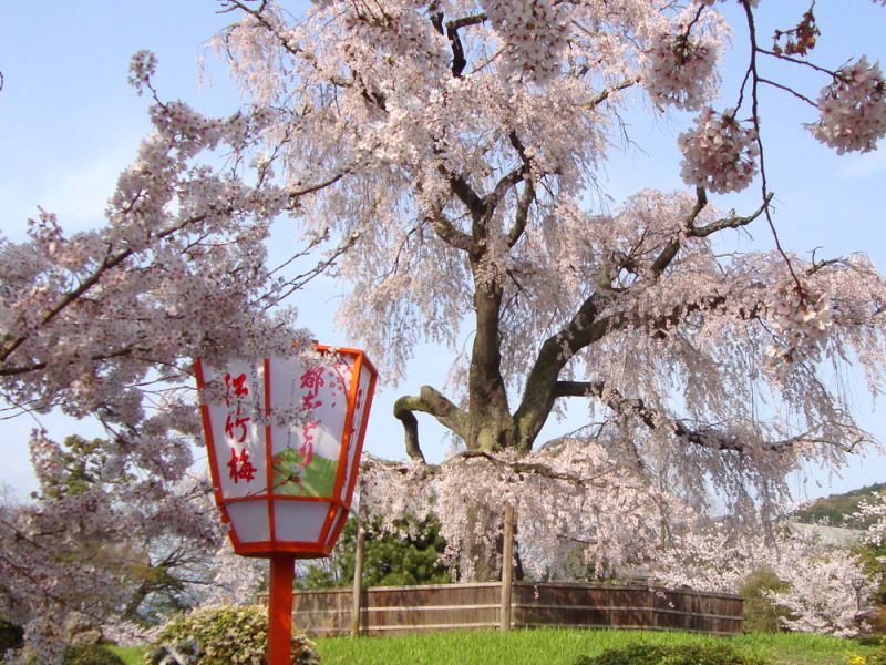 圓山公園
