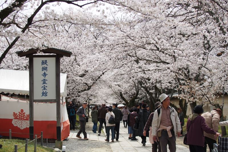 醍醐寺
